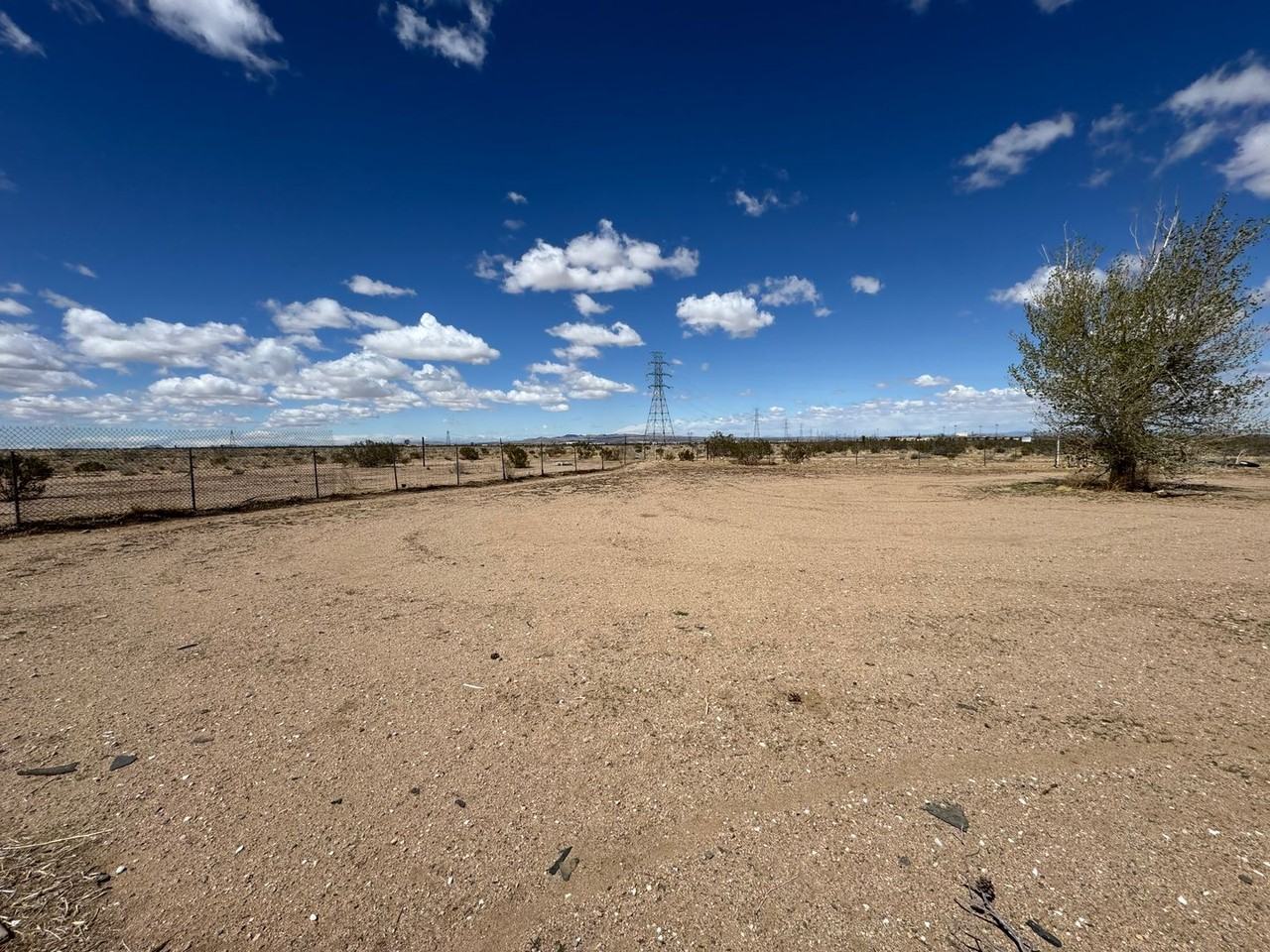 14755 Calendula - Photo 6 of 42