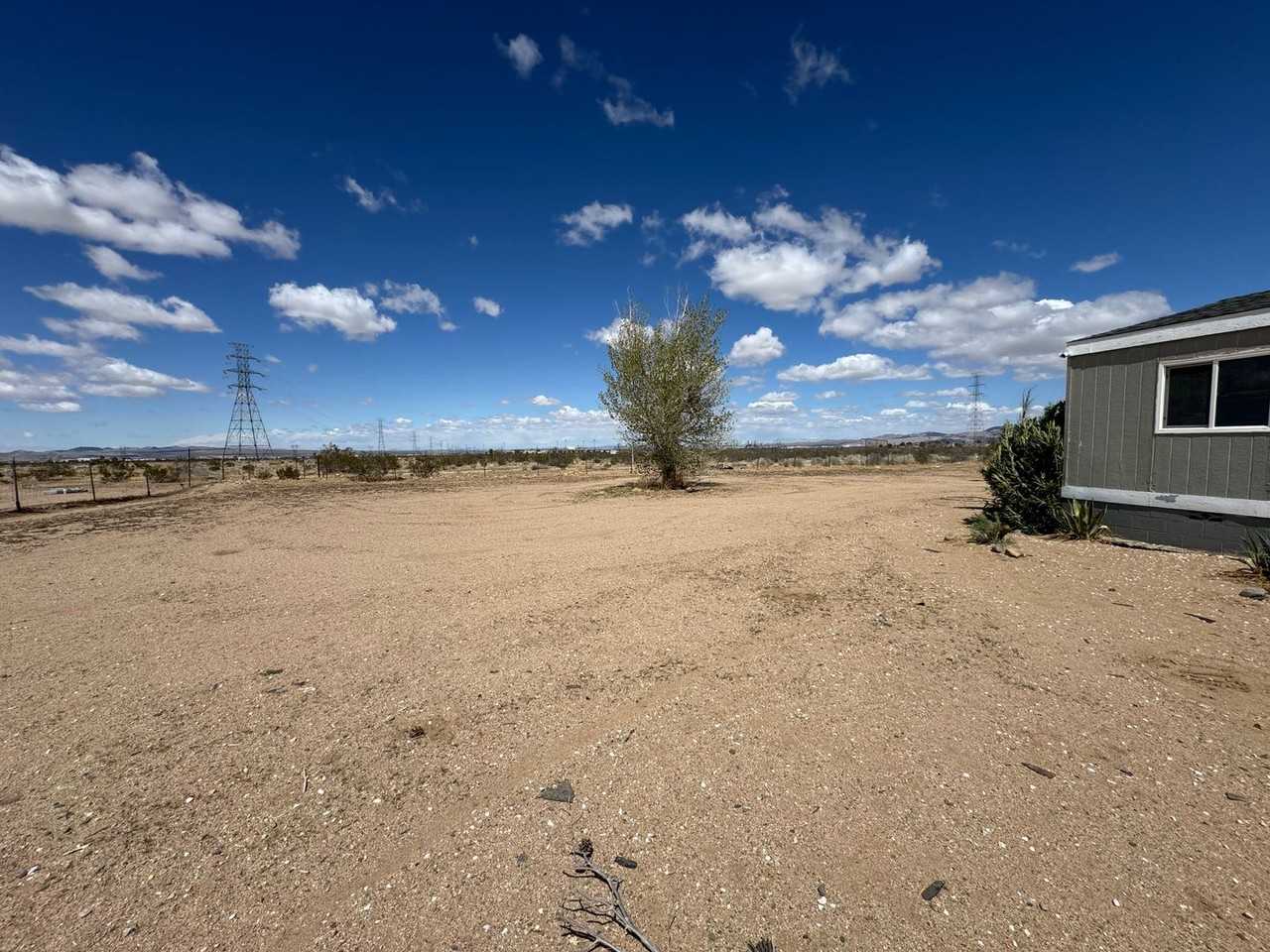 14755 Calendula - Photo 7 of 42