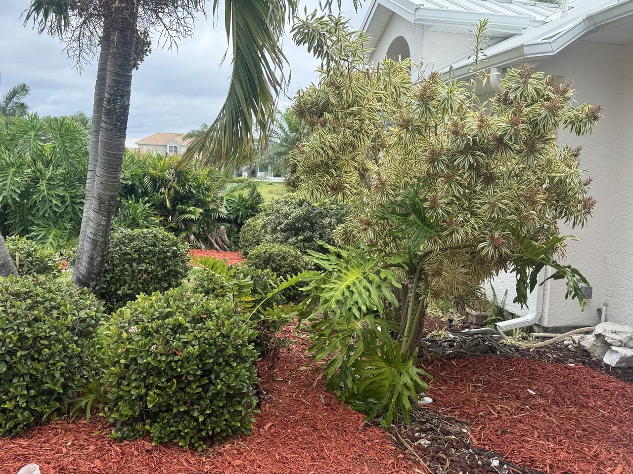 317 Lanternback Island Dr #NA - Photo 4 of 32