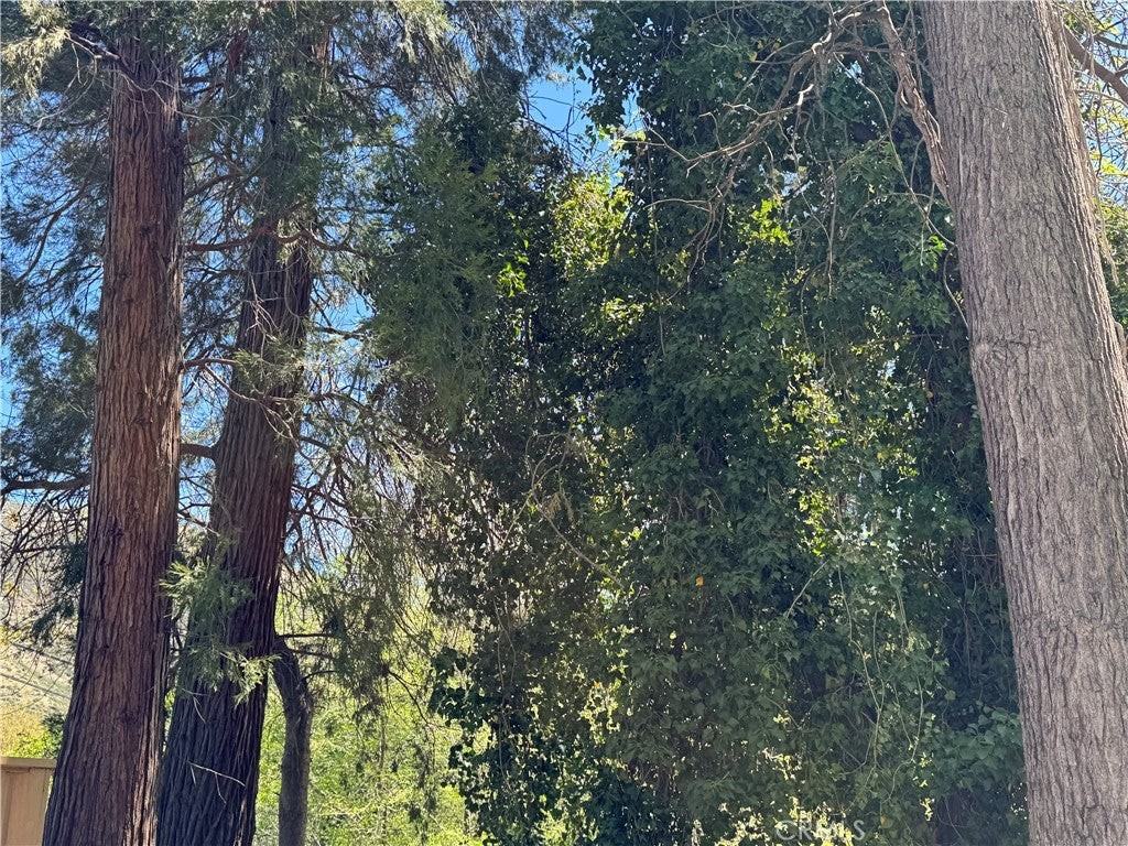 14043 Meadow Ln - Photo 7 of 7