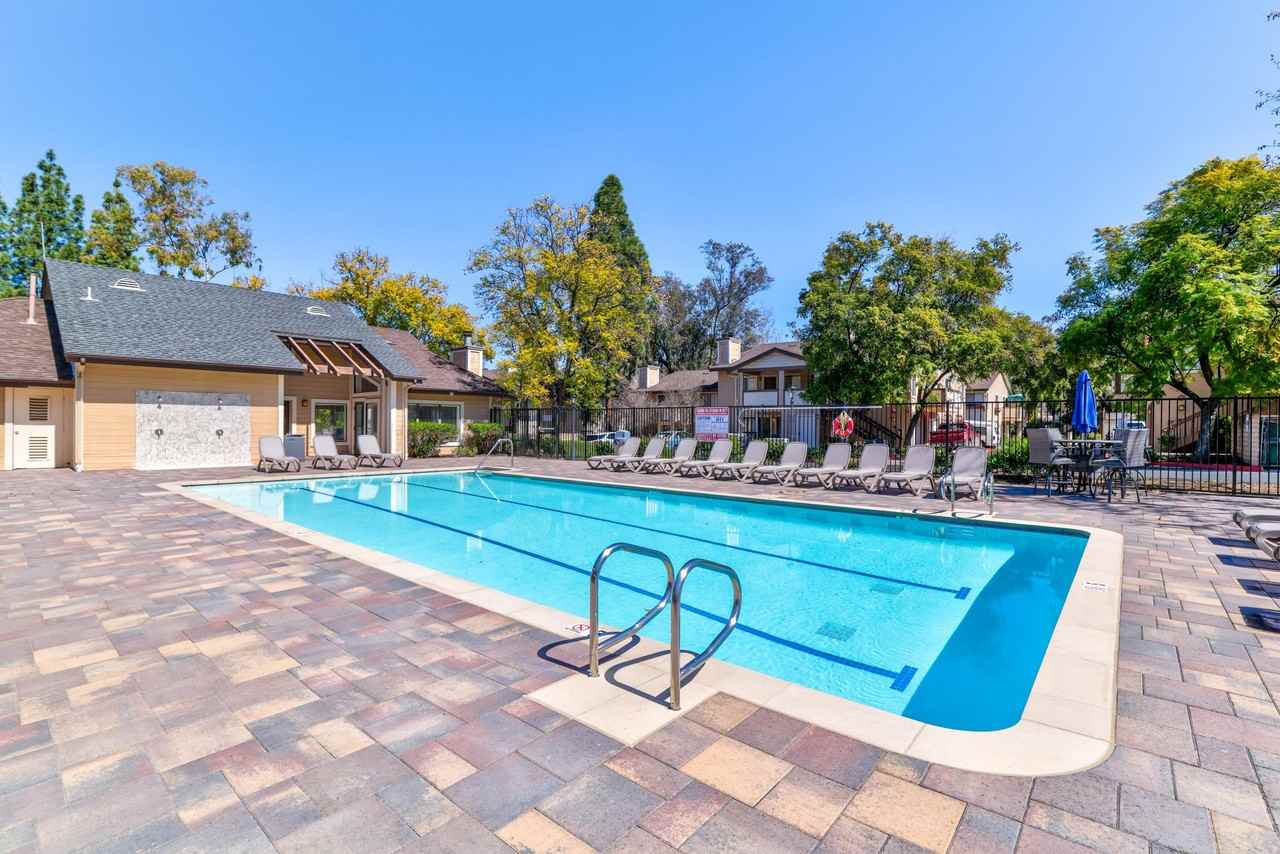 Alpine Woods - Photo 4 of 32