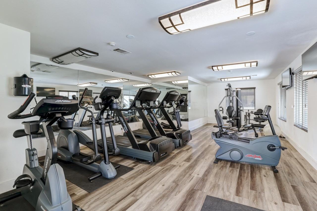 Alpine Woods - Photo 6 of 32