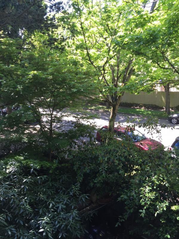 9010 Henderson Pl Sw - Photo 2 of 12