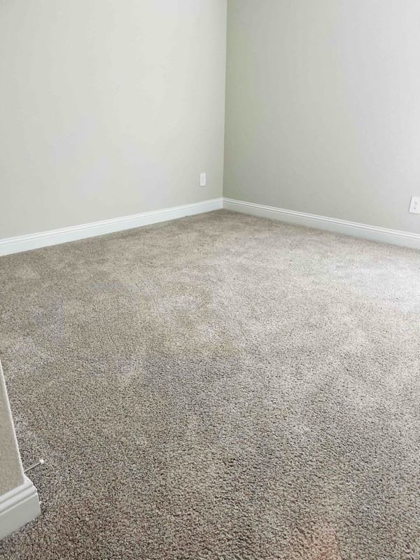 4740 Dewy Rose Lane - Photo 6 of 11