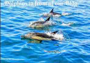 Sea Haven Apartments LLC - Photo 1 of 1