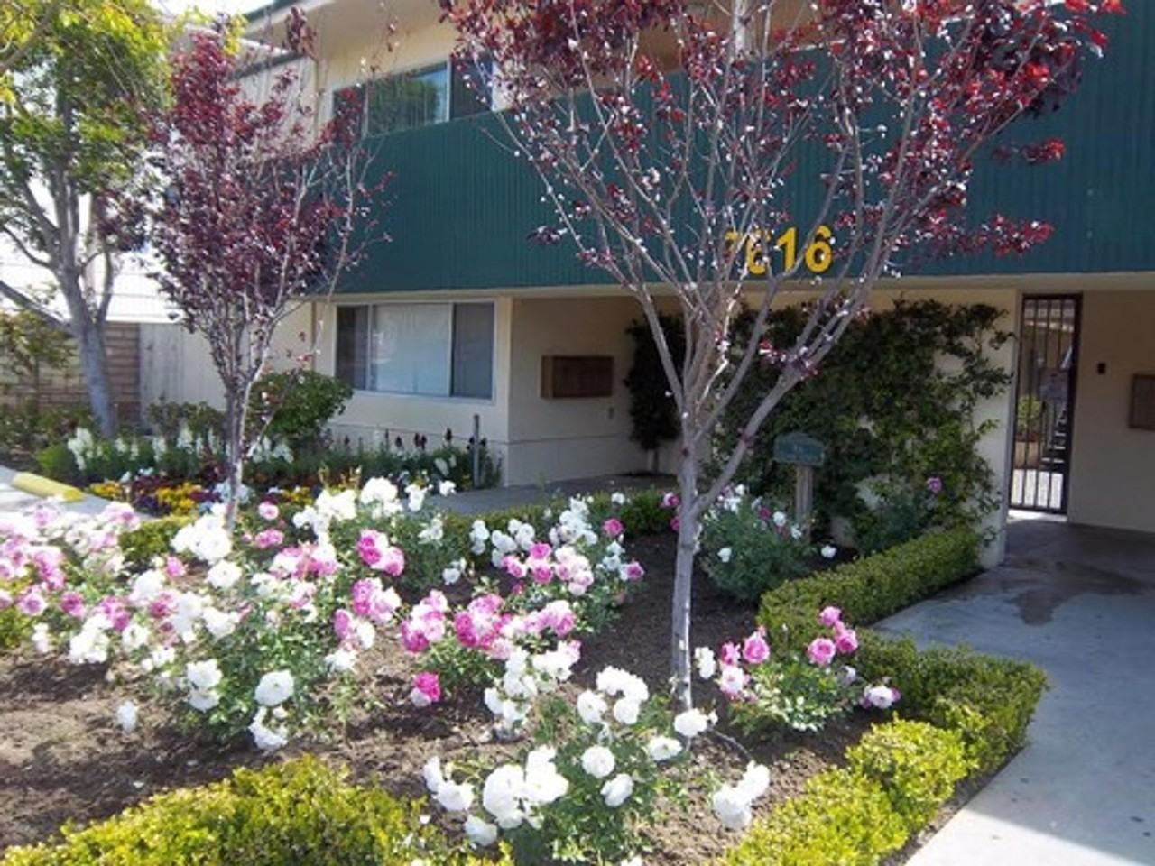 Classic Apts - Stella-Mae, LLC - Photo 2 of 5
