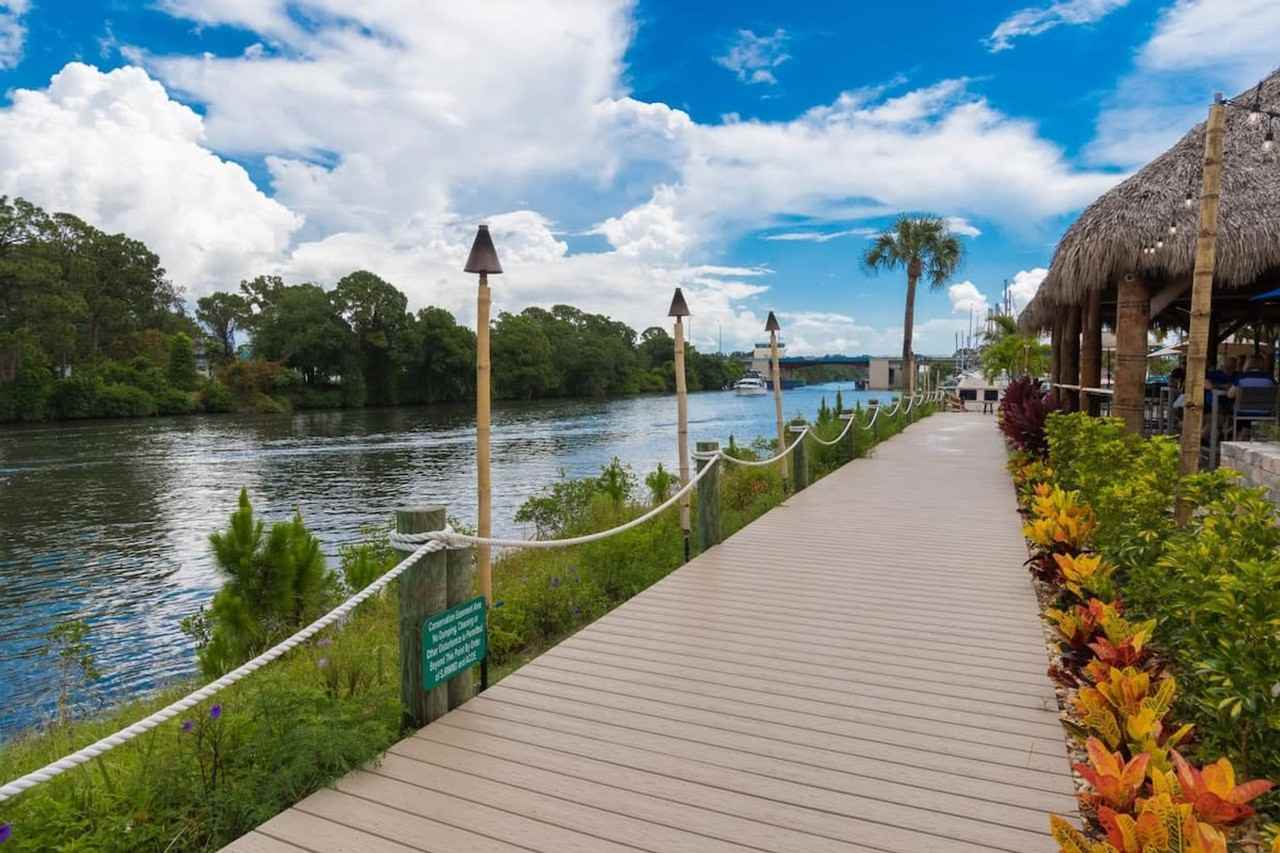 202 Ivory Coral Ln #1044423P - Photo 6 of 50