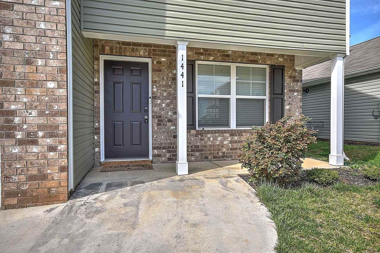 1441 Gress Mag Mtn - Photo 3 of 39