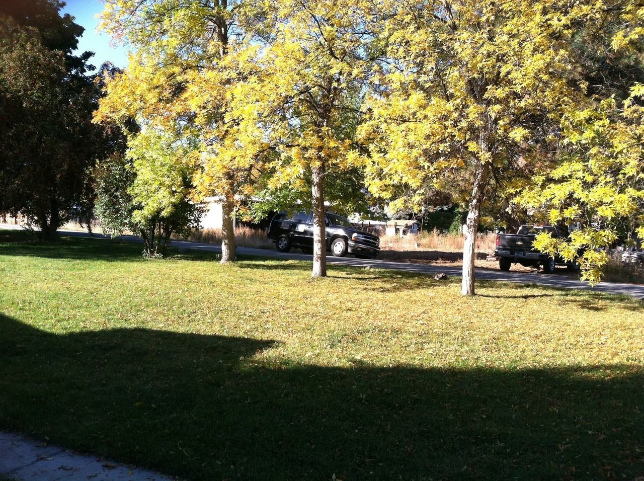 318 Doran Ln - Photo 3 of 20