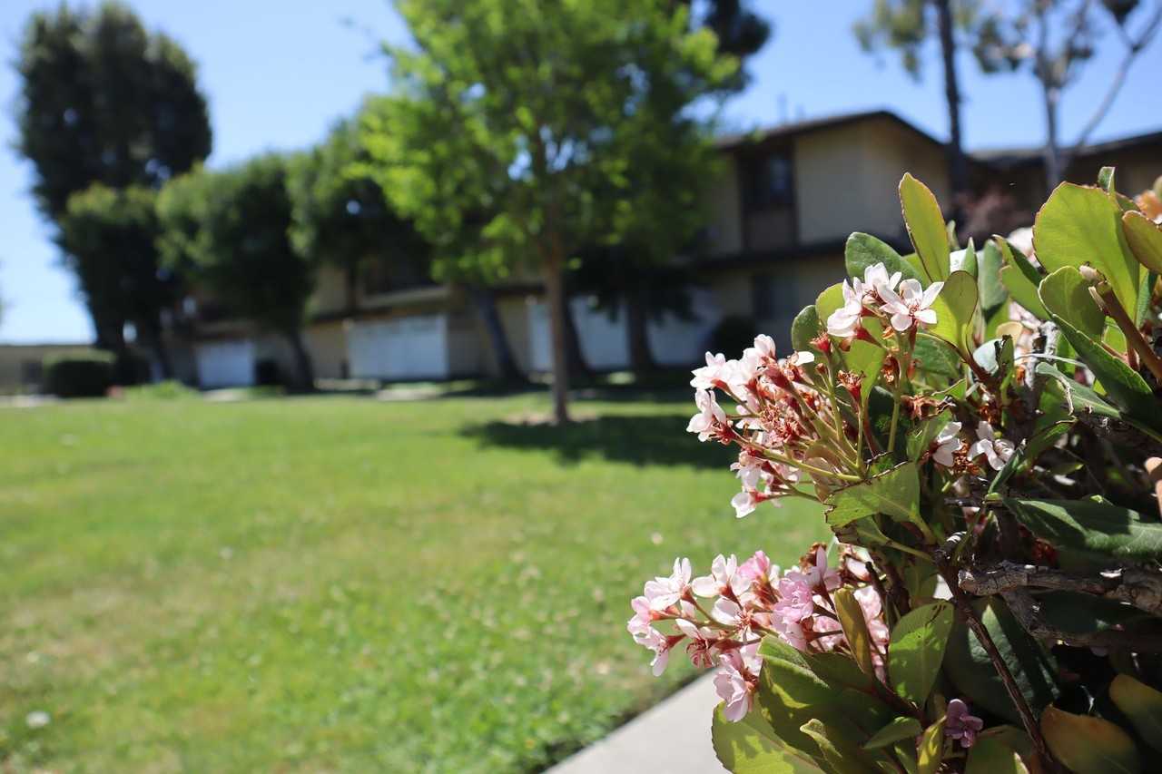 1330 S Sunset Ave #121 - Photo 2 of 22