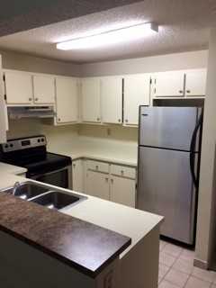 351 Palm Way - Photo 3 of 50