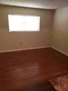 351 Palm Way - Photo 6 of 50