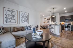 Cyan Mallard Creek Apartments - Photo 1 of 1