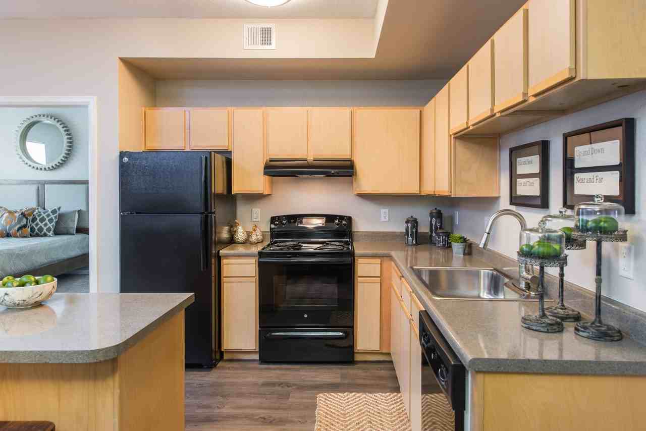 PeakView at T-Bone Ranch Apartments - Photo 6 of 50