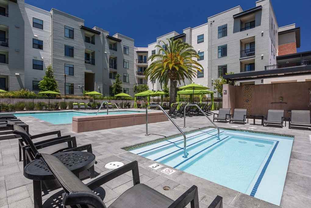 Brio - Photo 6 of 61