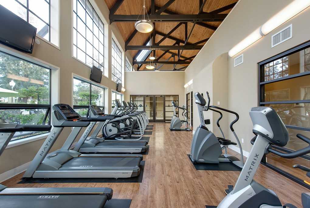 City View - Photo 2 of 68