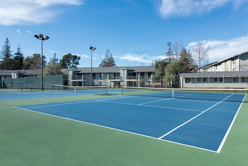 City View - Photo 7 of 68