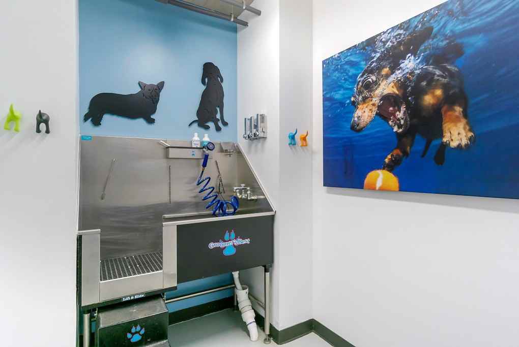 Expo - Photo 7 of 79