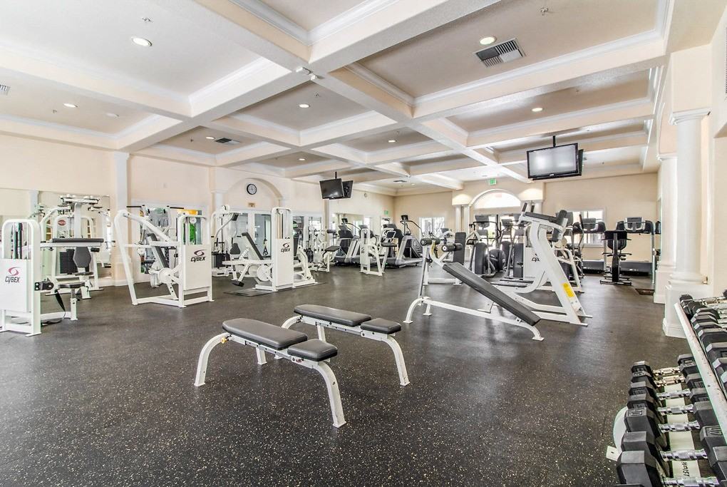 Santa Palmia at Palm Valley - Photo 6 of 73