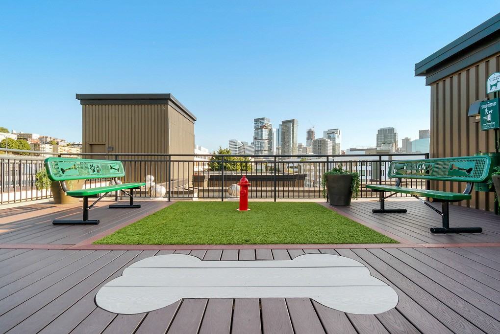 The Cairns - Photo 6 of 75