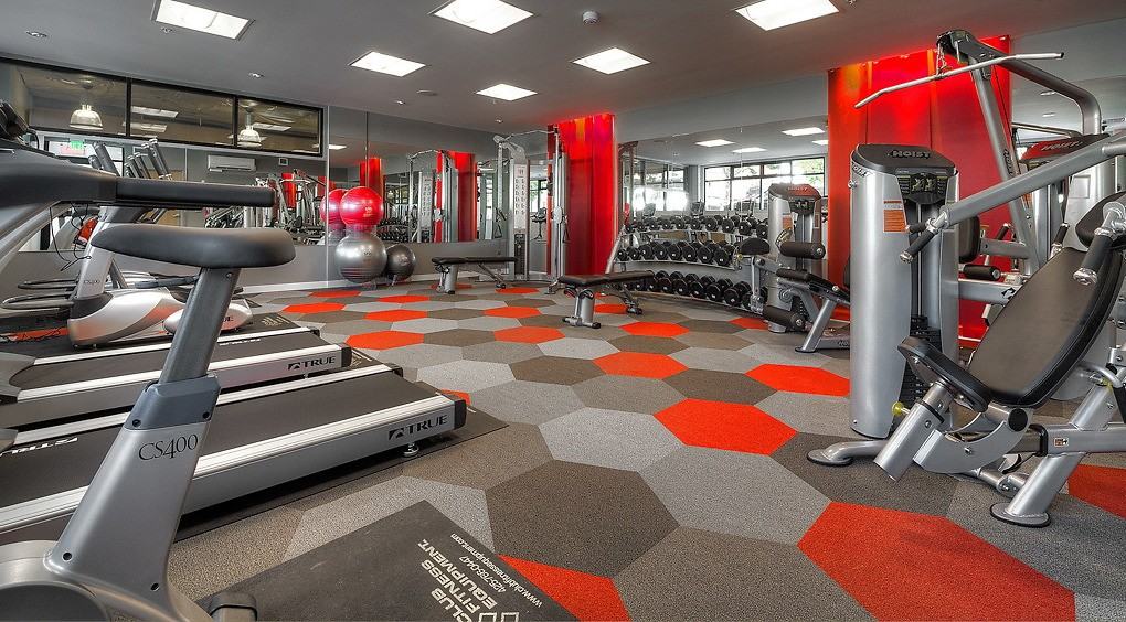 Velo and Ray - Photo 4 of 77