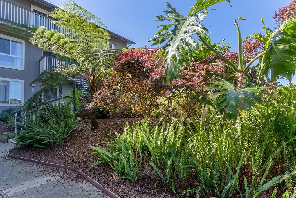 Vista Belvedere - Photo 6 of 66