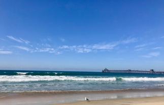 Imperial Palms - North - Photo 1 of 1