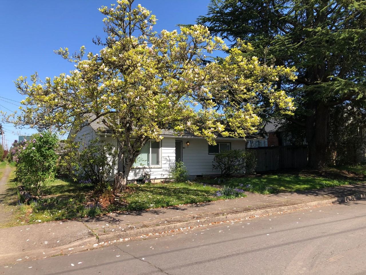 985 E 28th Ave - Photo 2 of 22