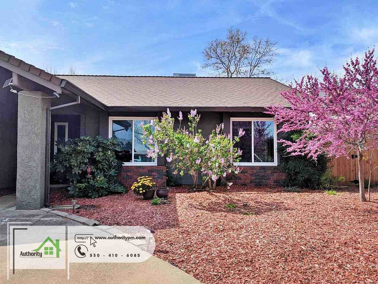 3825 Fujiyama Way - Photo 2 of 17