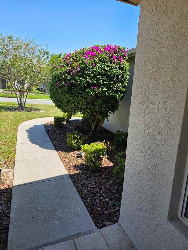 11118 Heathrow Ave - Photo 3 of 30