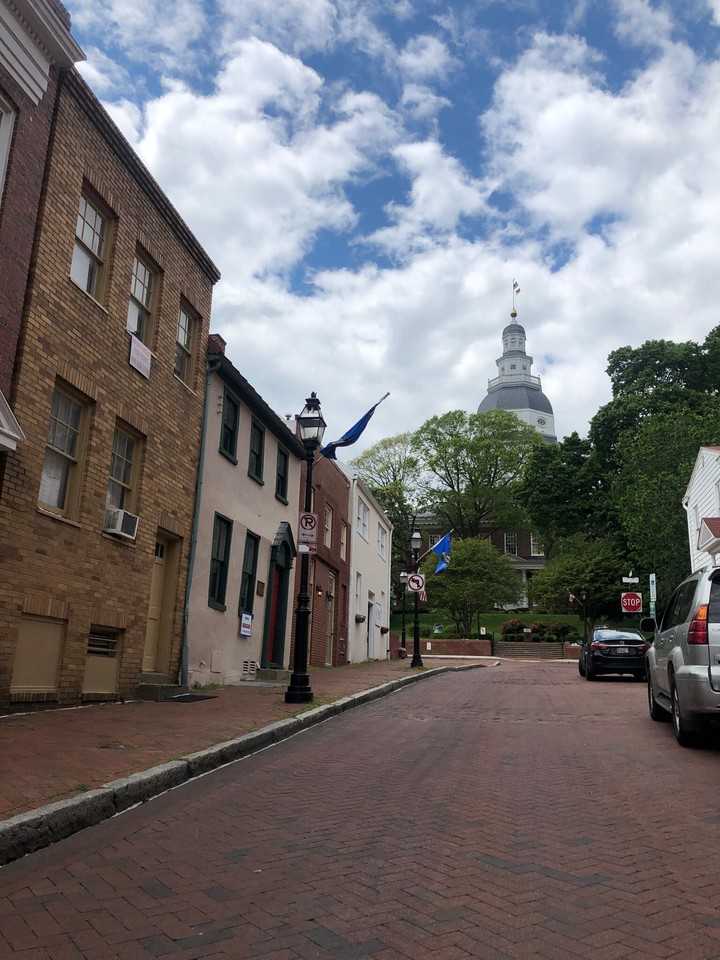 23 Francis Street - Photo 7 of 7