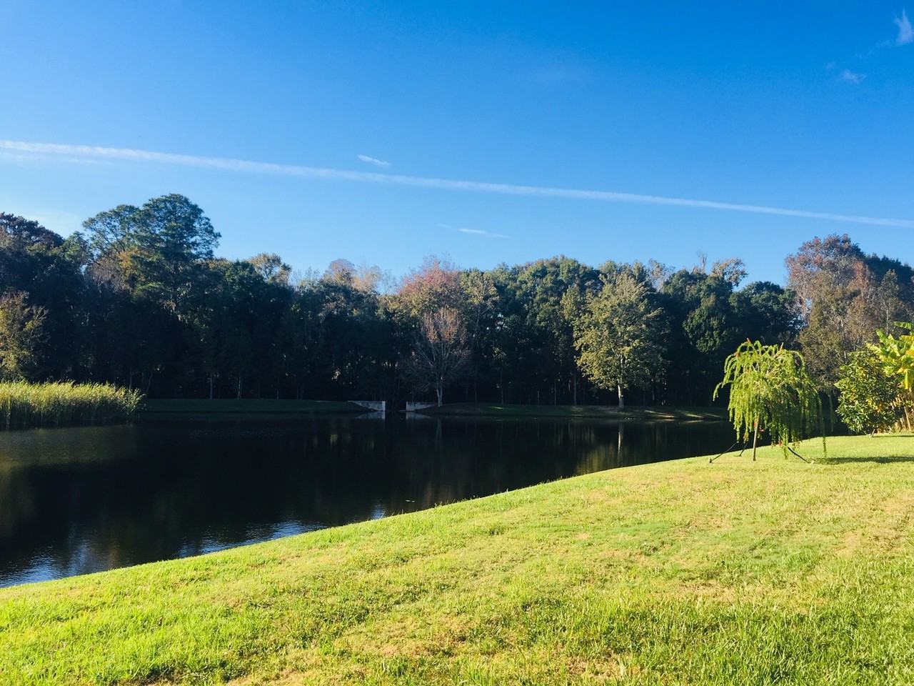 1147 Big Creek Dr - Photo 3 of 29