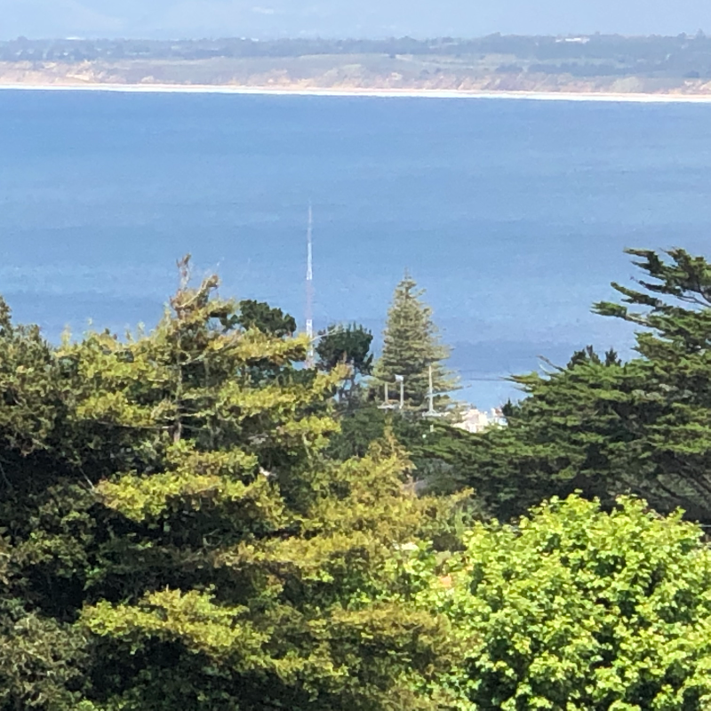 740 Terry St - Photo 2 of 19