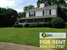 Pointer Ln 03 - Photo 1 of 1