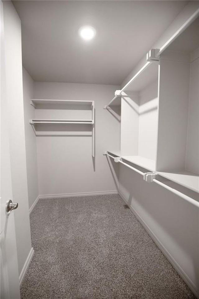 3923 Lleyton Dr - Photo 7 of 13