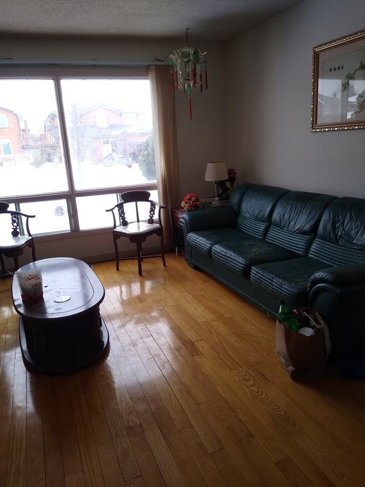 183 Aldergrove Drive - Photo 3 of 8