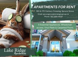 featured image of 170 Century Cross