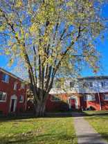 Franklin Court Apartments - Photo 1 of 1