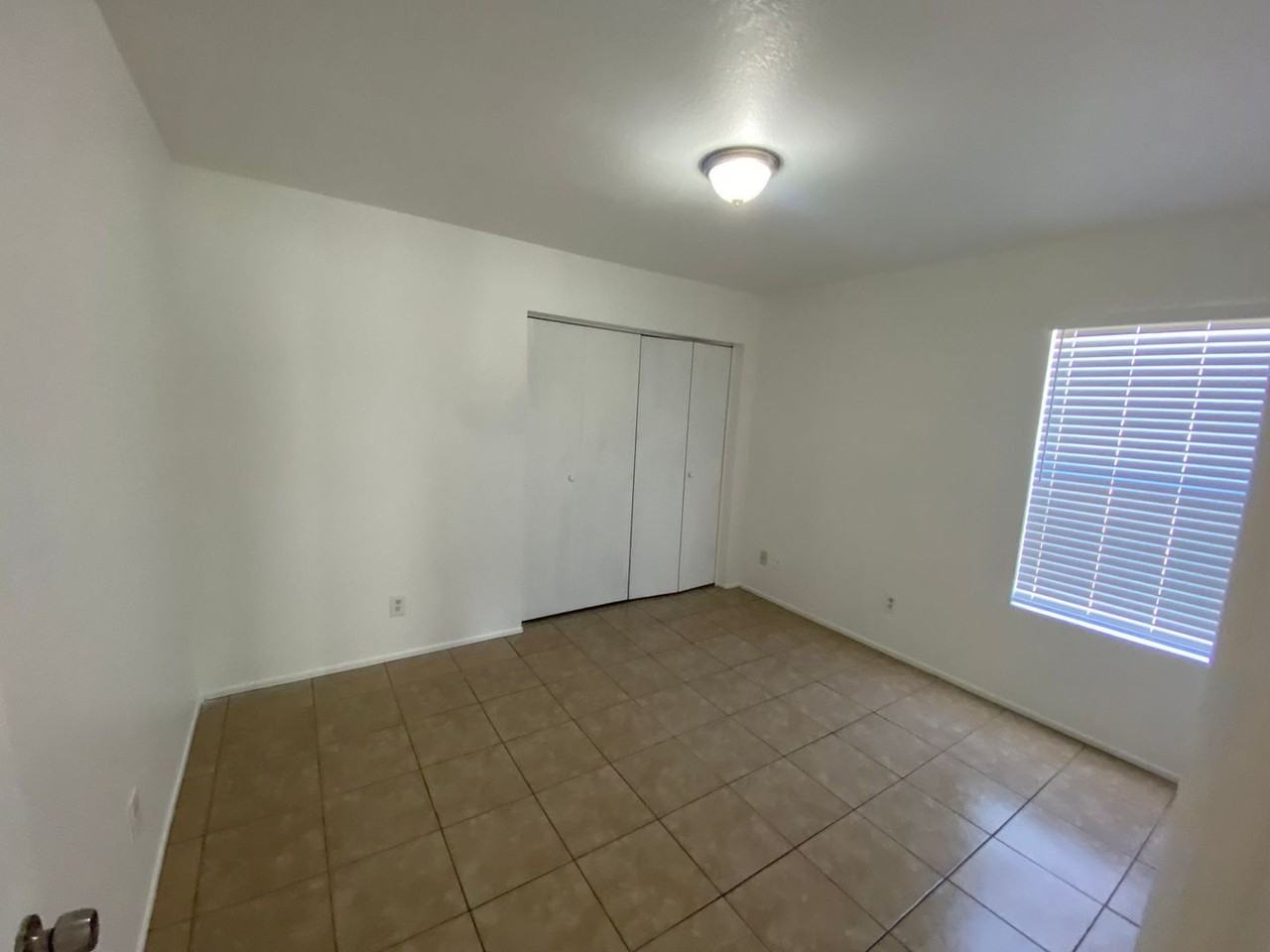 Vine Circle - Photo 4 of 6