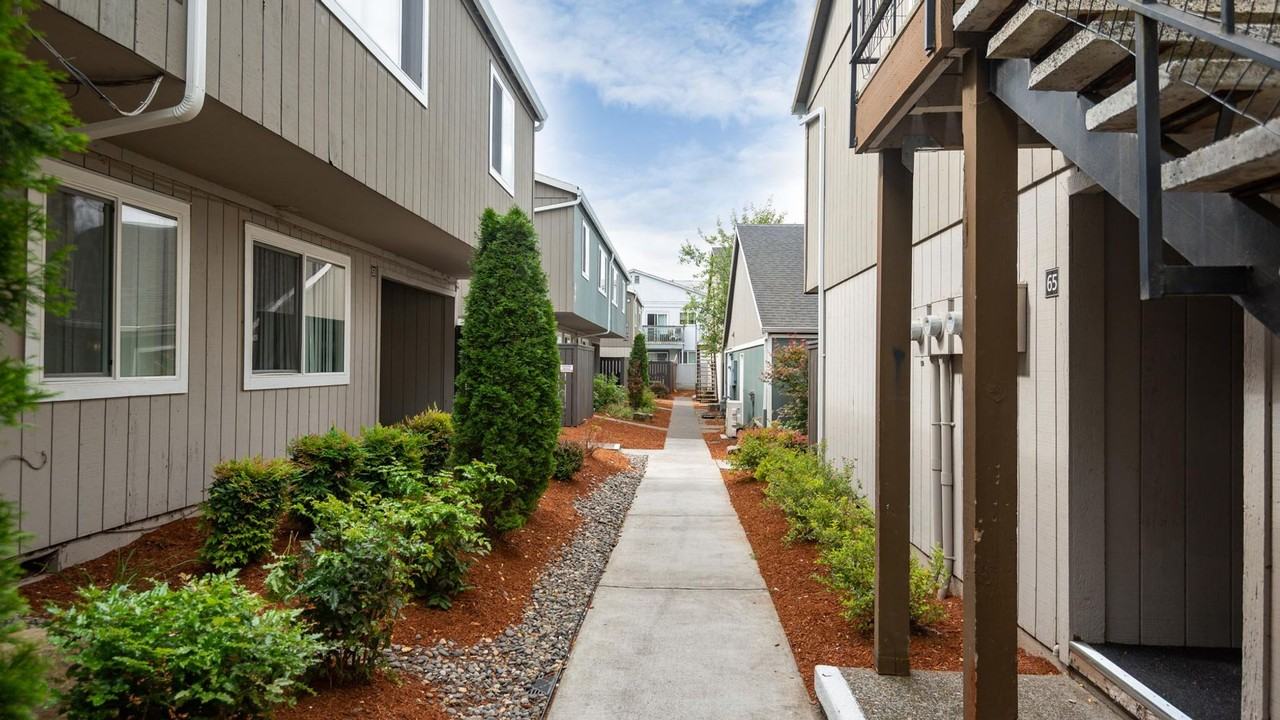 hor500 - Photo 4 of 19