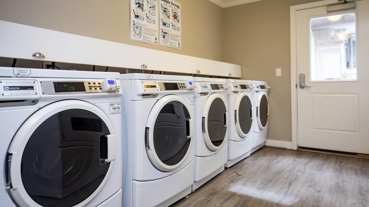 hor500 - Photo 5 of 19