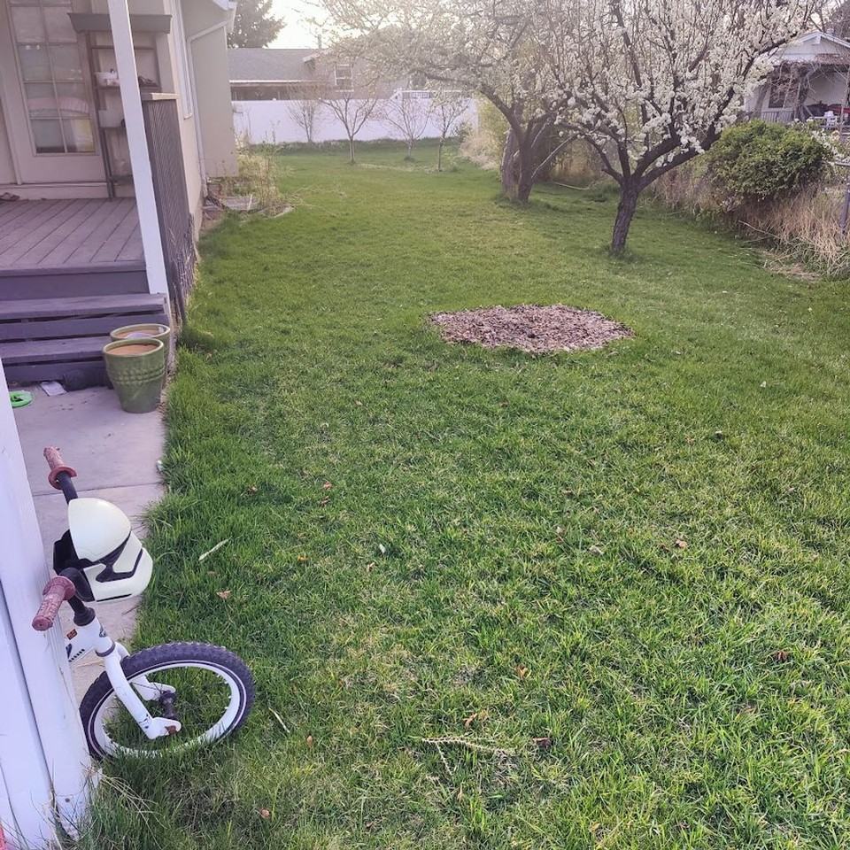 688 S 900 E - Photo 3 of 20