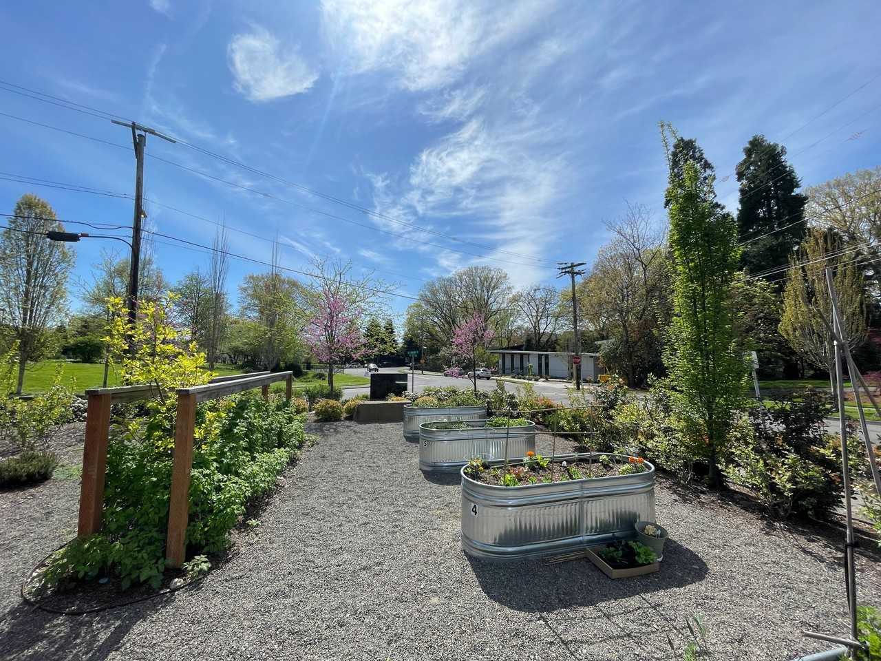 Park Hamlin - 2323 SE Harrison - Photo 6 of 8