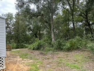5972 S Withlapopka Dr - Photo 3 of 9
