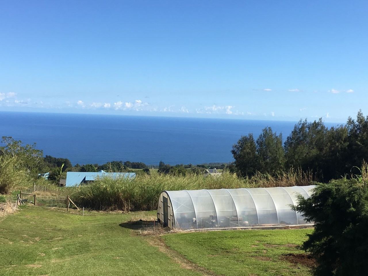 44-2554 Keahua Rd - Photo 2 of 25