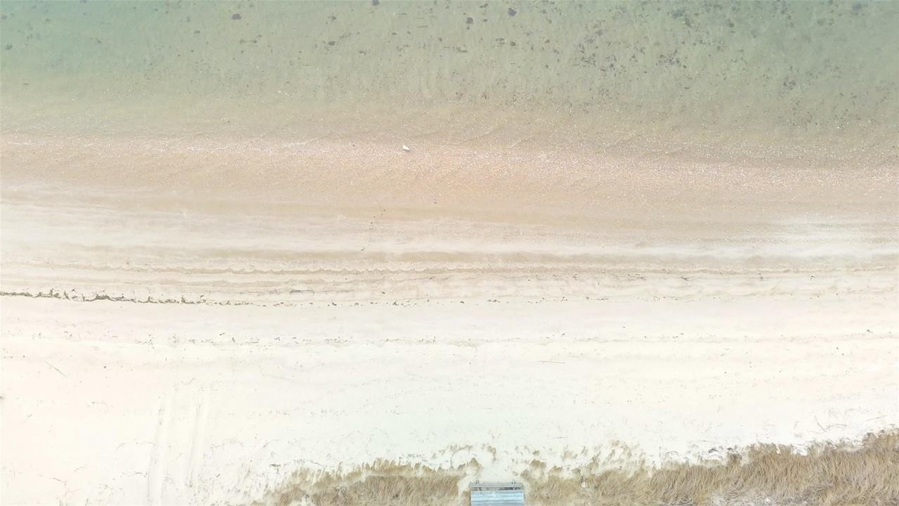 87 Foster Ave - Photo 7 of 34