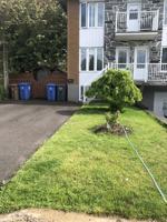 featured image of 889 Rue Viger