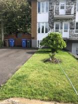 889 Rue Viger - Photo 1 of 1