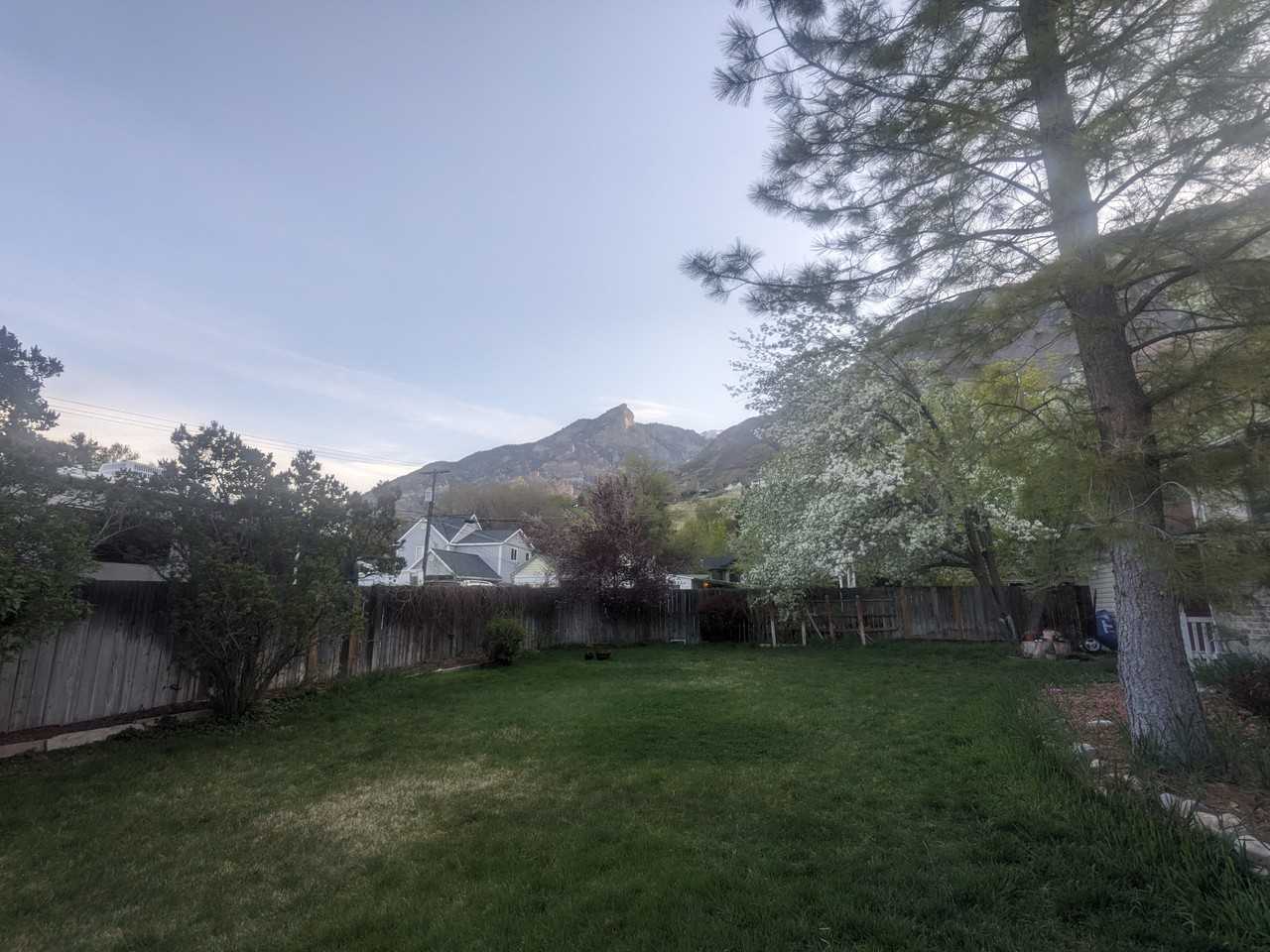 1235 Ash Ave #BS - Photo 3 of 11