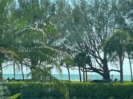 featured image of 2100 Gulf Shore Blvd N #100